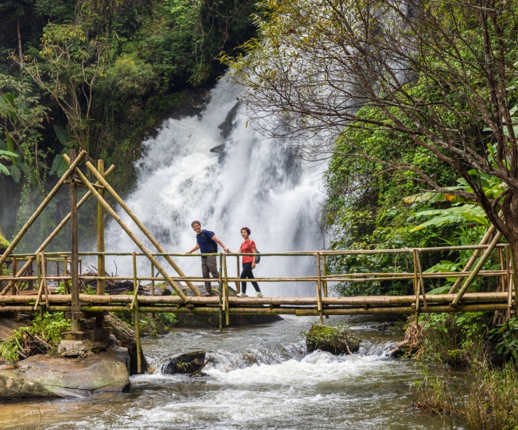 A couple walking on a tropical forest trail.