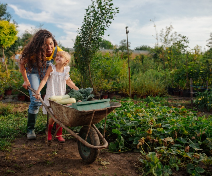 A mother and daughter pushing a wheelbarrow together.