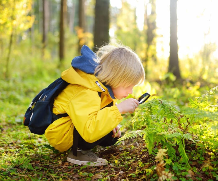 A boy using a magnifying glass in the woods.